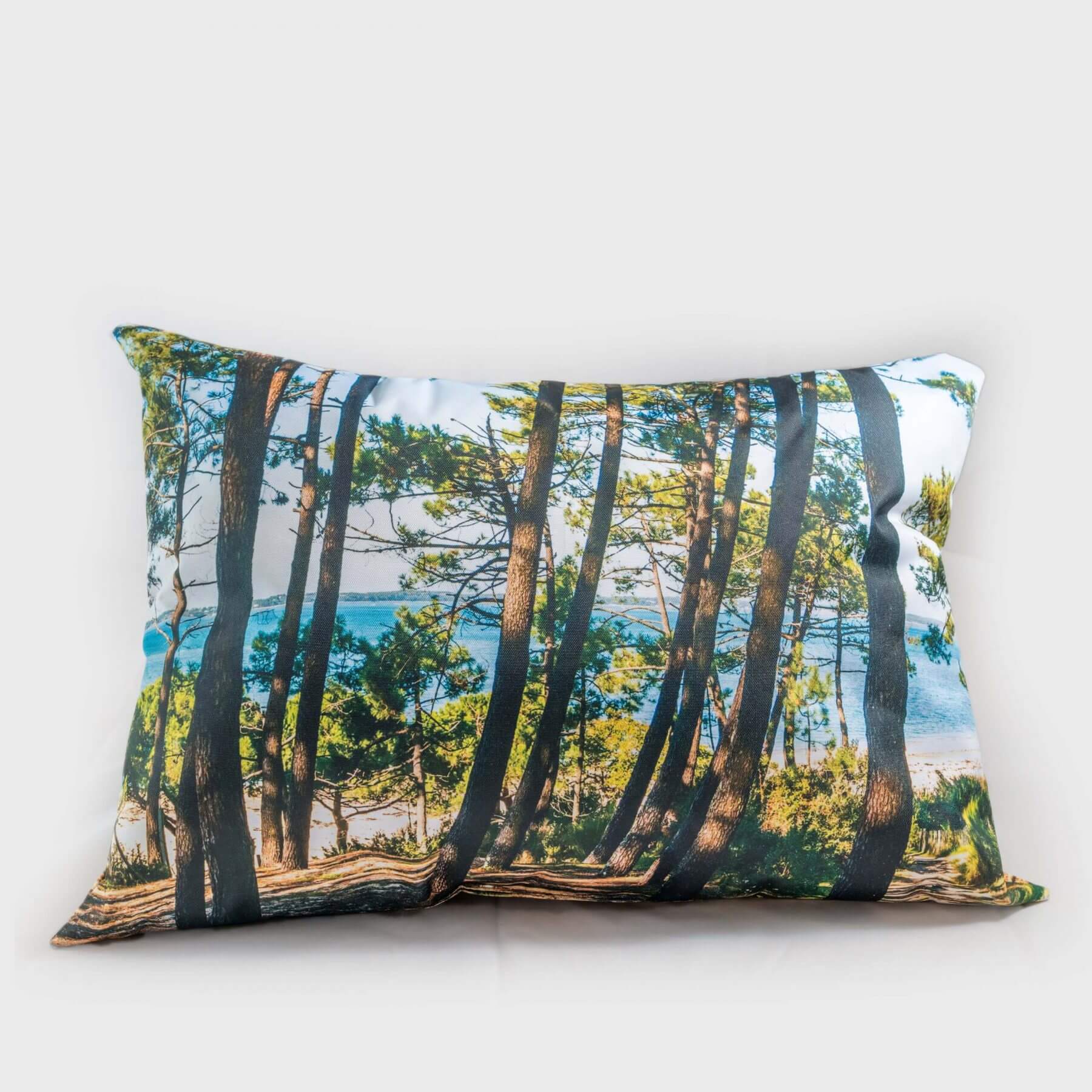 COUSSIN-PINEDE-50x70-DOS
