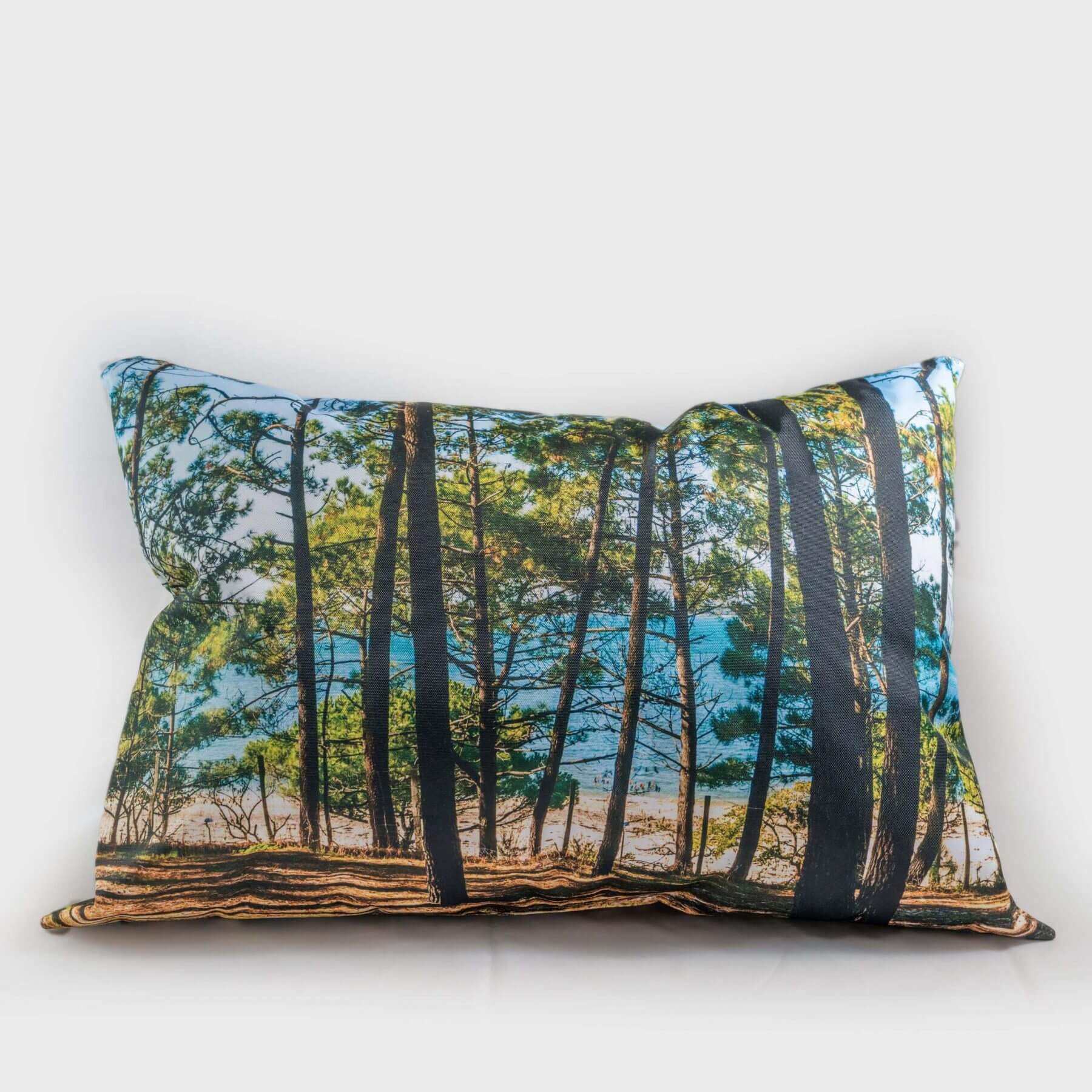COUSSIN-PINEDE-50x70-face