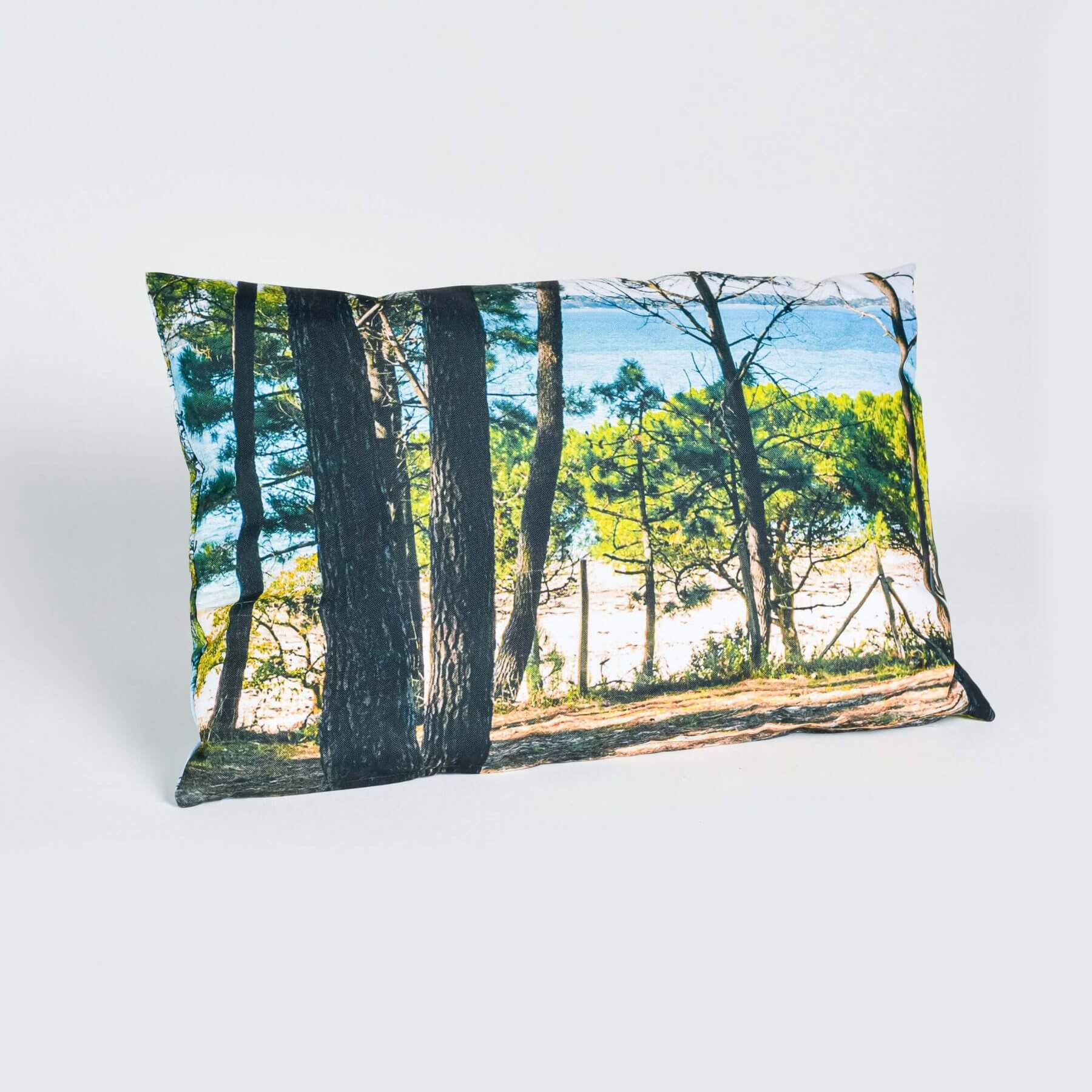 COUSSIN40X60PINEDE-PERSPECTIVE