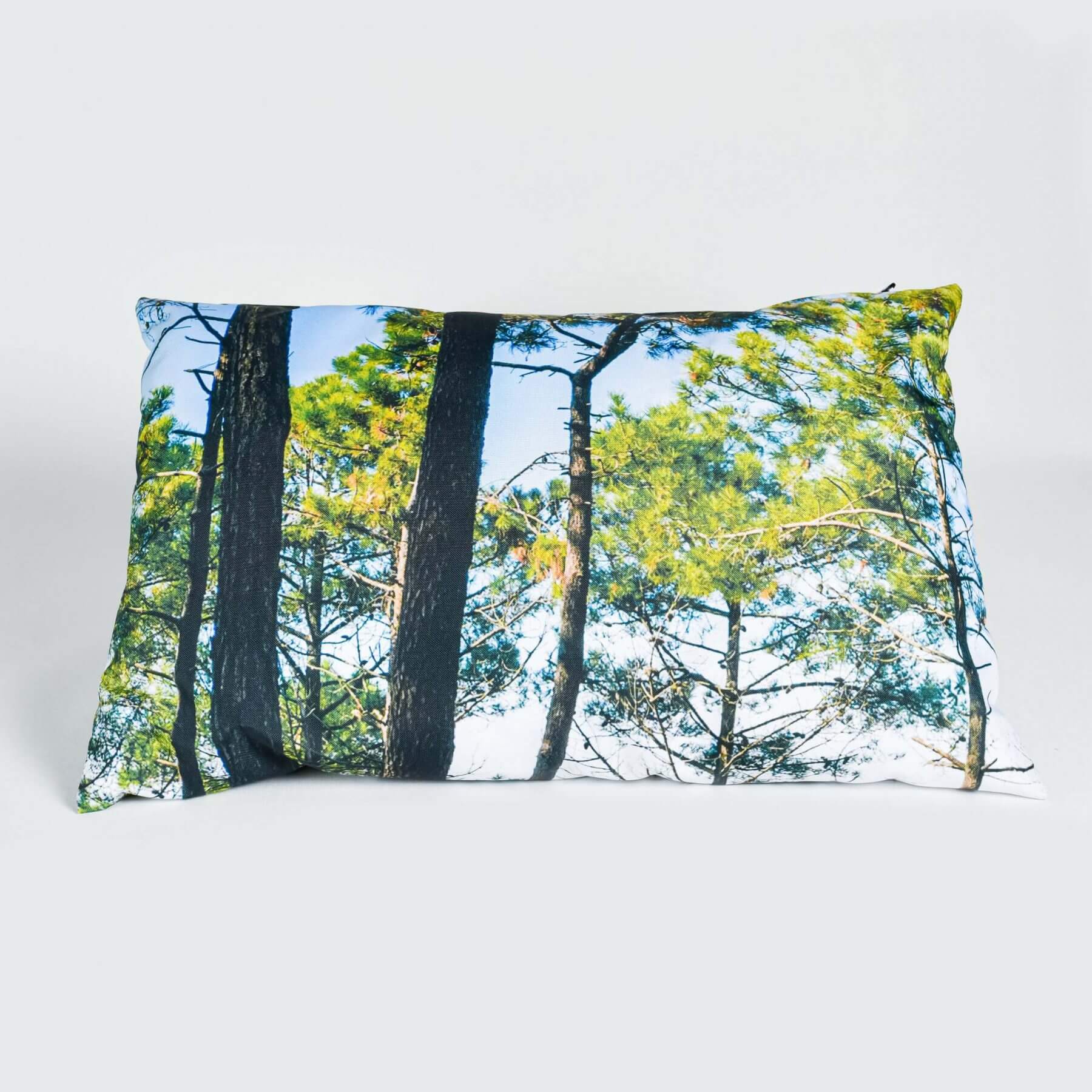 COUSSIN40X60PINEDE-VERSO