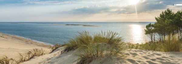 décors mural exterieur géant- décors brise vue - océan atlantique - Dune soleil couchant