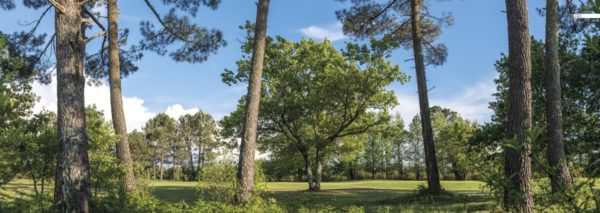 décors mural exterieur géant- décors brise vue - océan atlantique - pînt et chene sur golf de gujan mestras