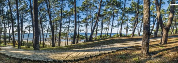 décors mural exterieur géant- décors brise vue - océan atlantique - bassin arcachon pinède