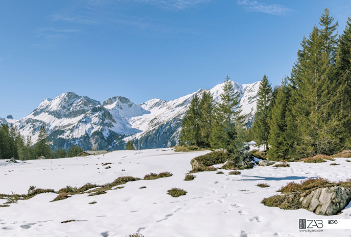 Décor mural extérieur - Montagne Suisse - Collection Montagne – Image 3