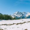 décors mural exterieur géant- décors brise vue - montagne alpes suisse