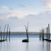 Byzab - Bache de décoration outdoor sur paysage du bassin d'arcachon