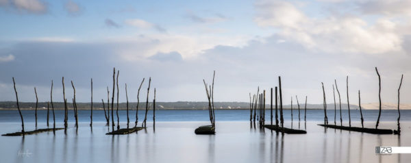 Byzab - Bache de décoration outdoor sur paysage du bassin d'arcachon