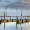 Byzab - Bache de décoration outdoor sur paysage du bassin d'arcachon