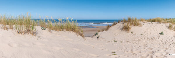 décors mural exterieur géant- décors brise vue - dune océan atlantique 2022