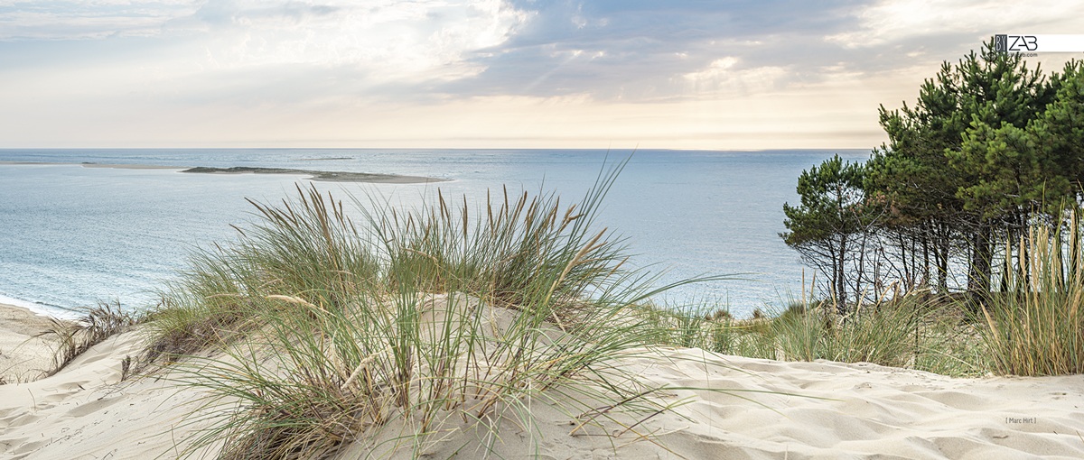 BACHE-DUNE-PILAT-JOUR-2x0.8mweb