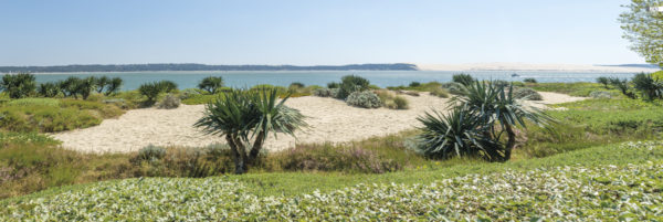 décors mural exterieur géant- décors brise vue - bassin d'arcachon cap ferret vue vers chez hortense - océan atlantique