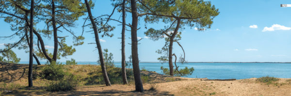 décors mural exterieur géant- décors brise vue - baie de la bonne anse - océan atlantique