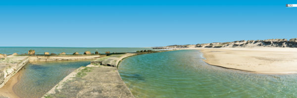 décors mural exterieur géant- décors brise vue - accès plage des arros - océan atlantique