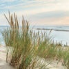 décors mural exterieur géant- décors brise vue - dune du pilat océan atlantique