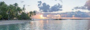 Décor mural extérieur – Palmiers au lever du soleil – Plage de la Caravelle- Guadeloupe – Collection Antilles