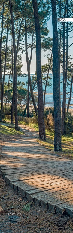 UNITE-TRANSAT_CHEMIN-PEREIRE