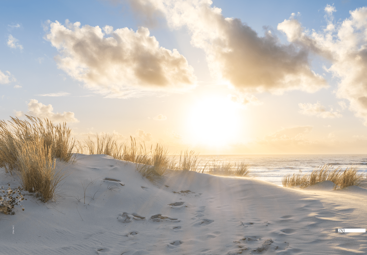 Décor mural extérieur - Dune soleil couchant 2025 - Collection Dune – Image 6