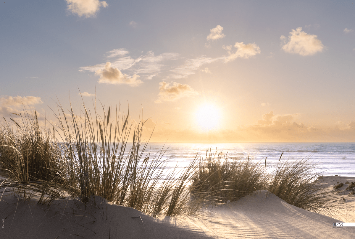 Décor mural extérieur - Soleil couchant 2025 - Collection Dune – Image 2