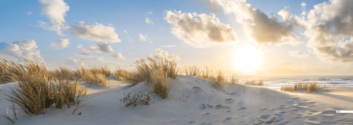 Décor mural extérieur - Dune soleil couchant 2025 - Collection Dune