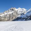 décors mural exterieur géant- décors brise vue - alpes suisse montagne