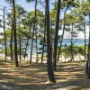 décors mural exterieur géant- décors brise vue - océan atlantique - pinède bassin arcachon